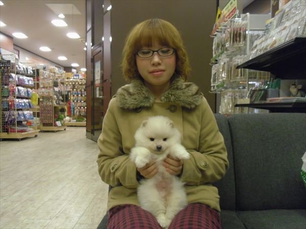写真