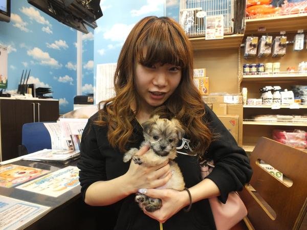 写真