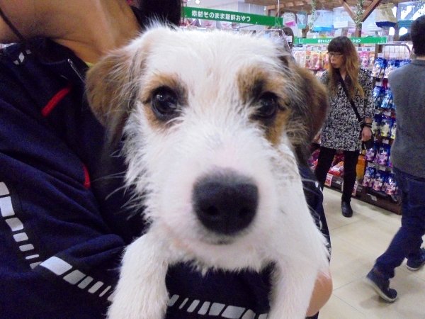 写真