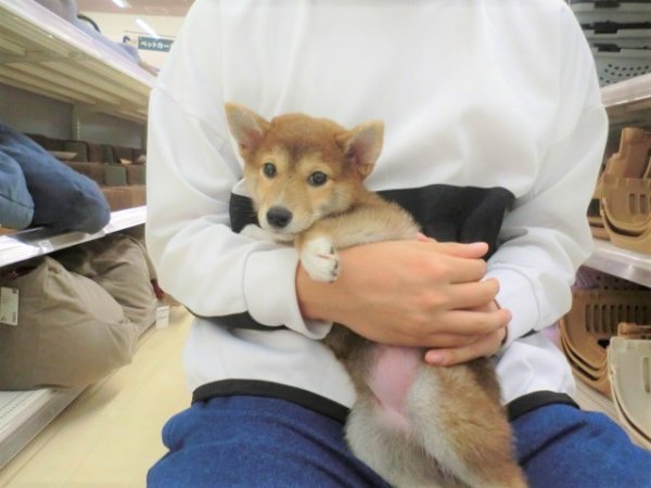 写真