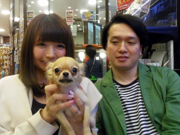 写真