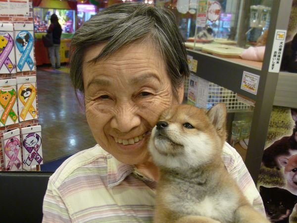 写真