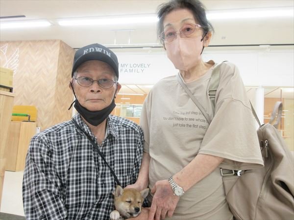 写真