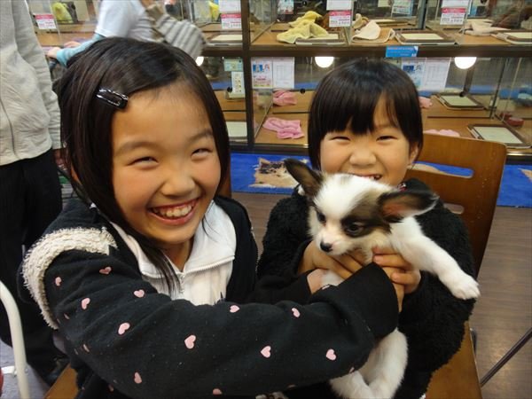 写真
