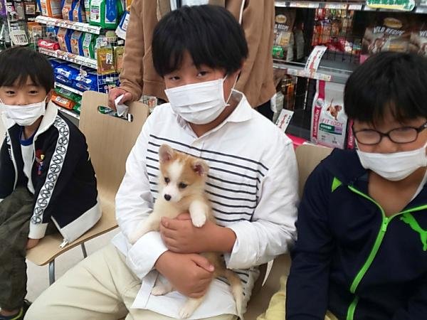 写真