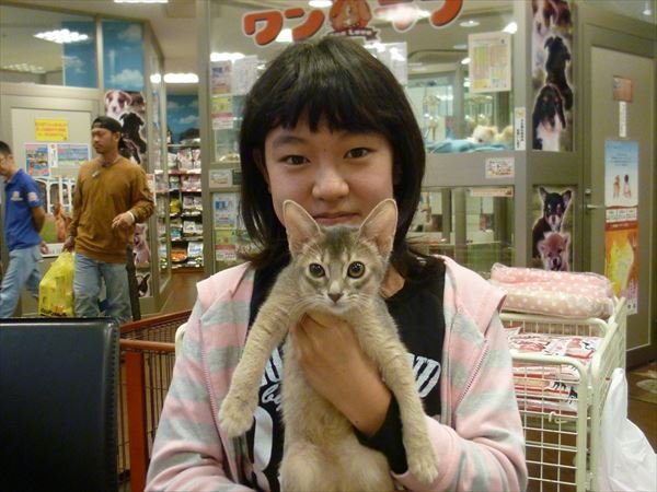 写真