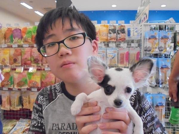 写真