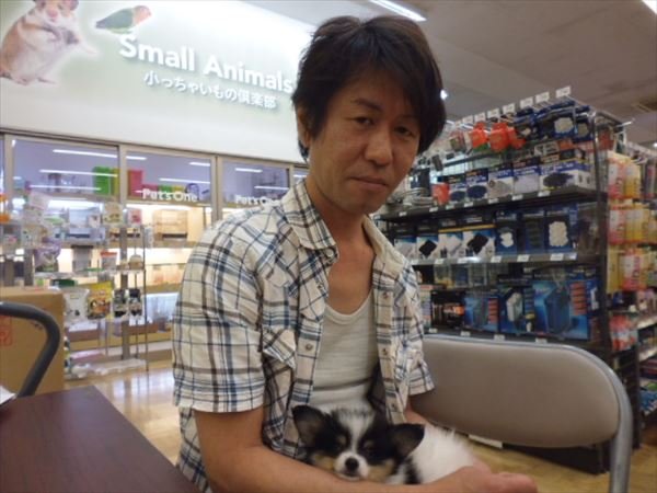写真