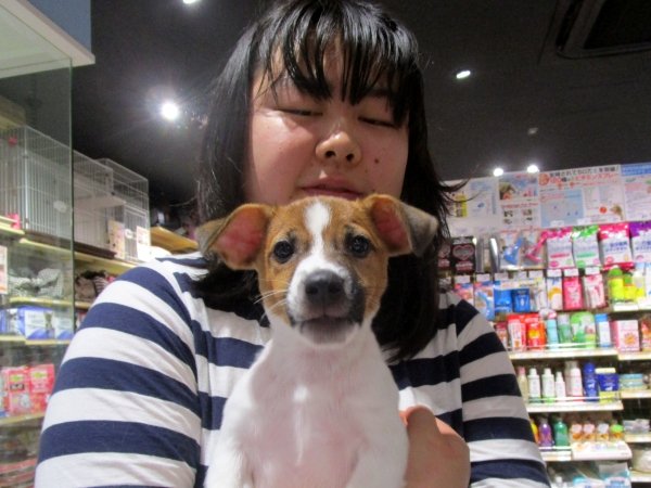 写真