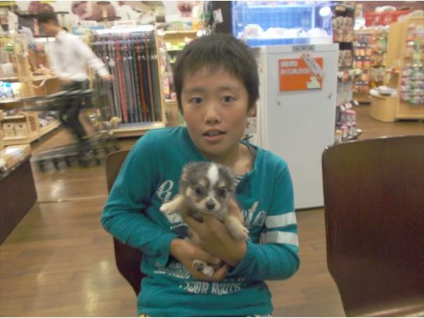 写真