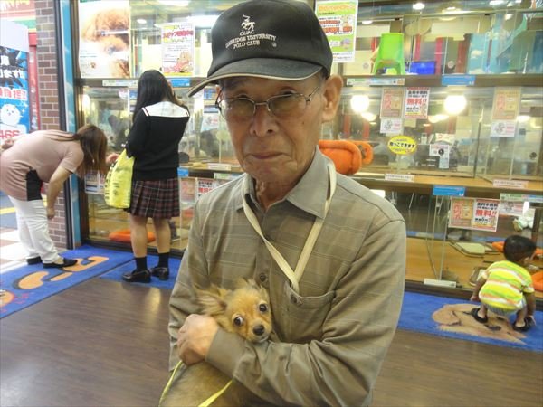 写真