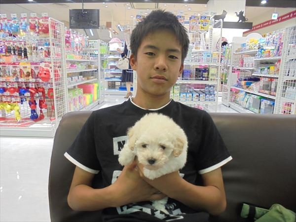 写真