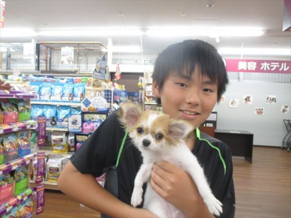 写真