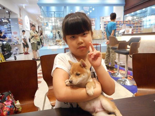 写真