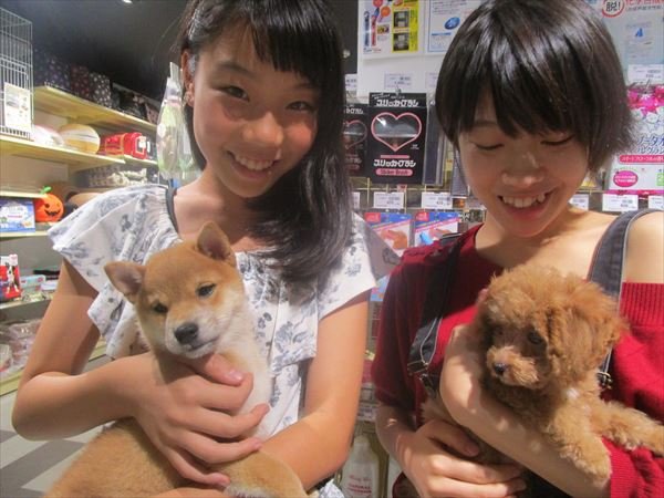 写真