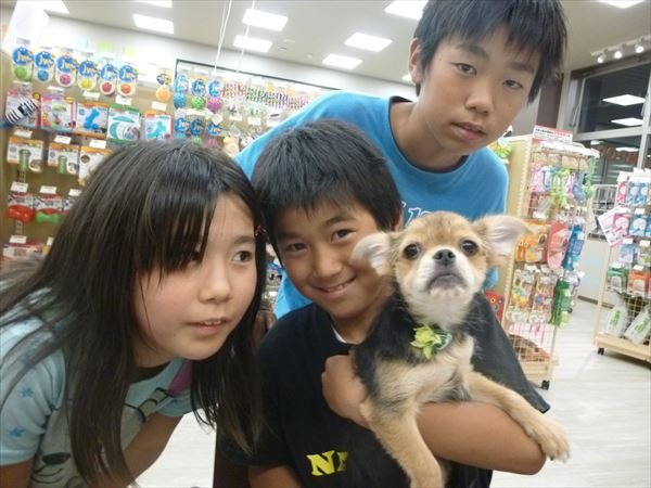 写真