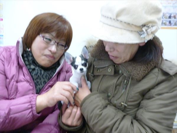 写真