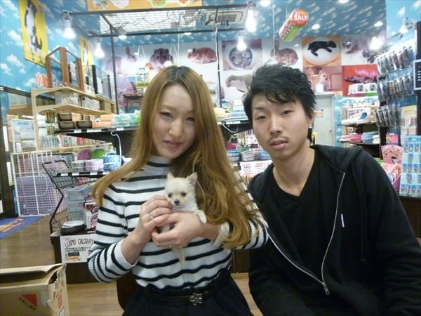 写真