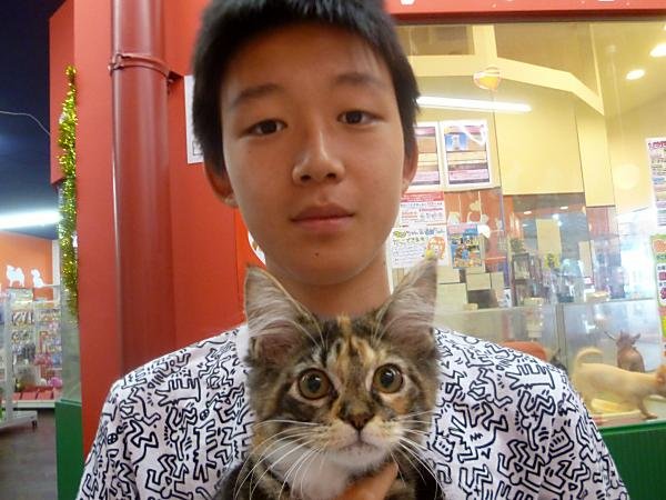 写真