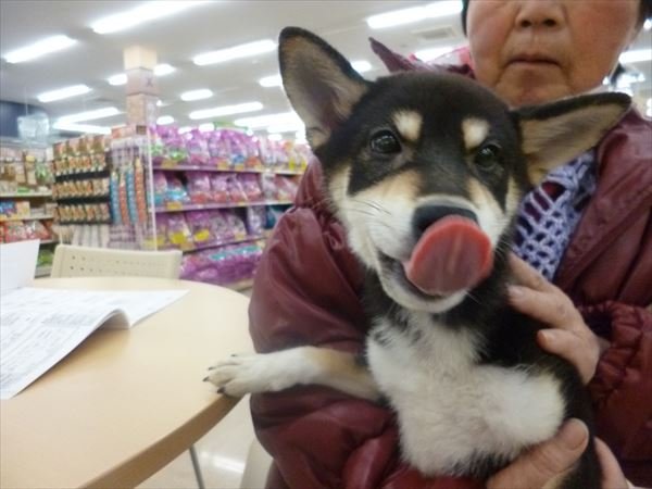 写真