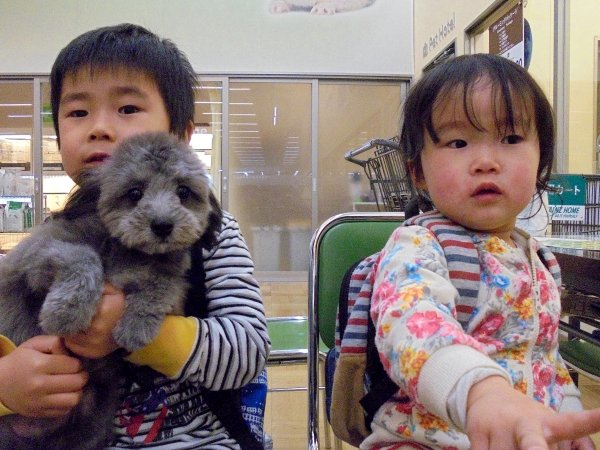 写真