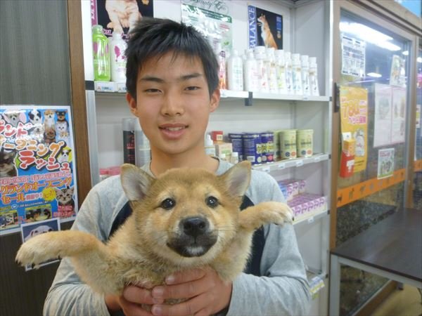 写真
