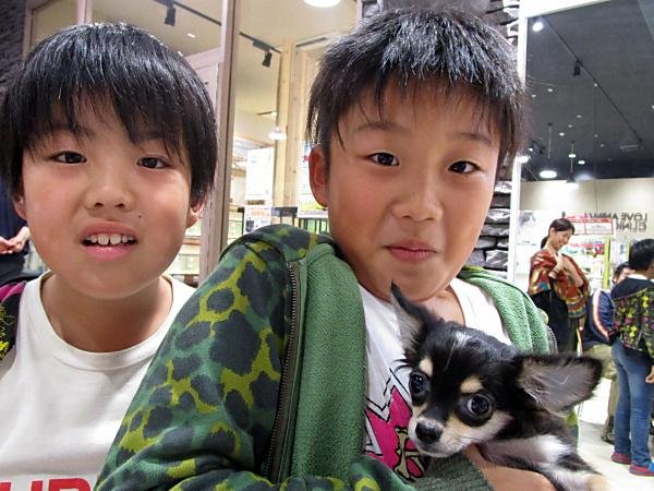 写真
