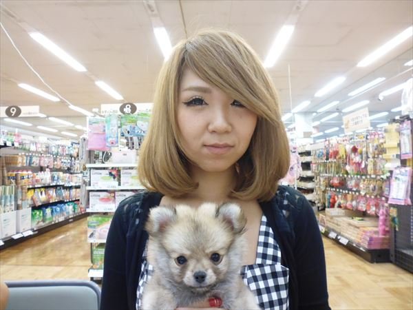 写真