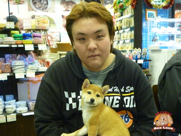 写真