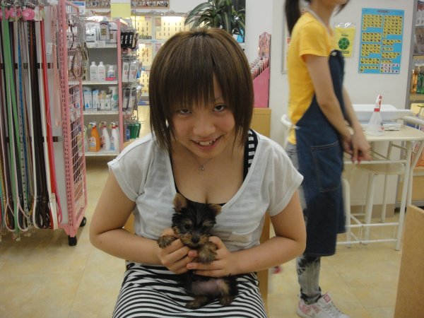 写真