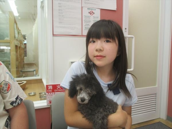 写真