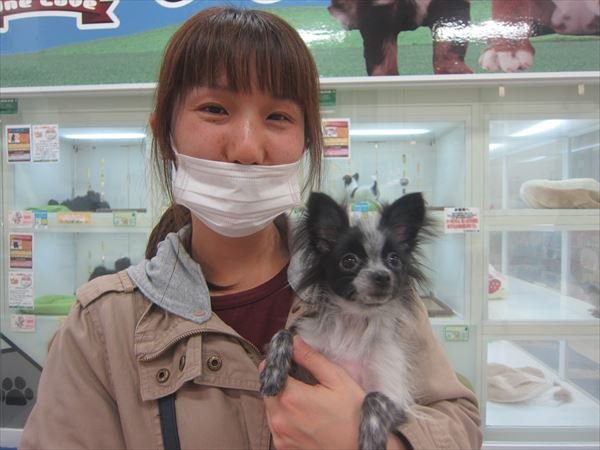 写真