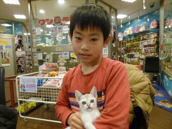 写真