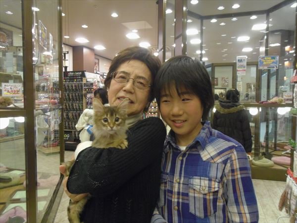 写真