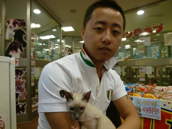 写真
