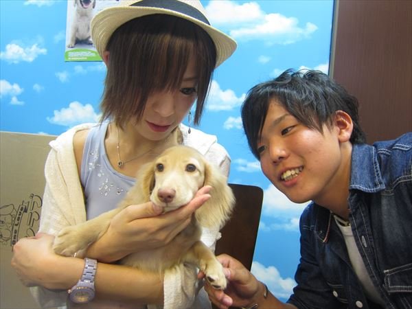 写真