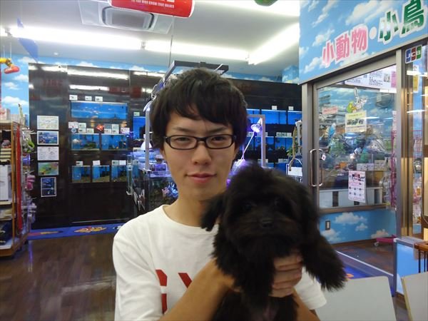 写真