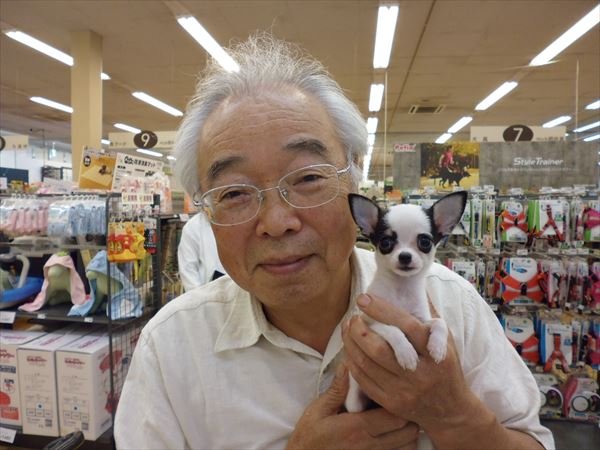 写真