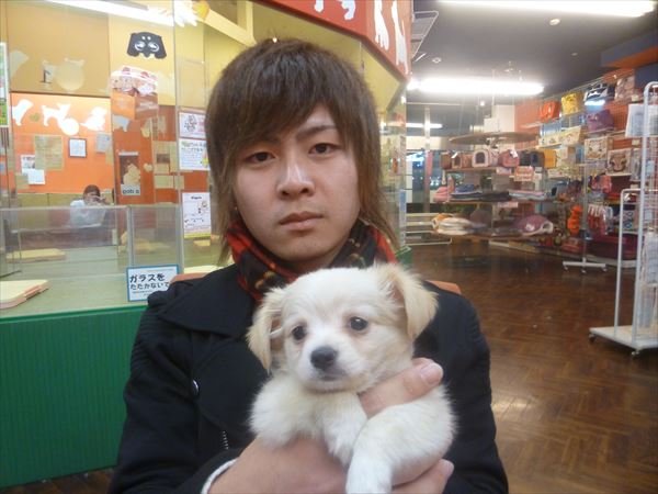 写真