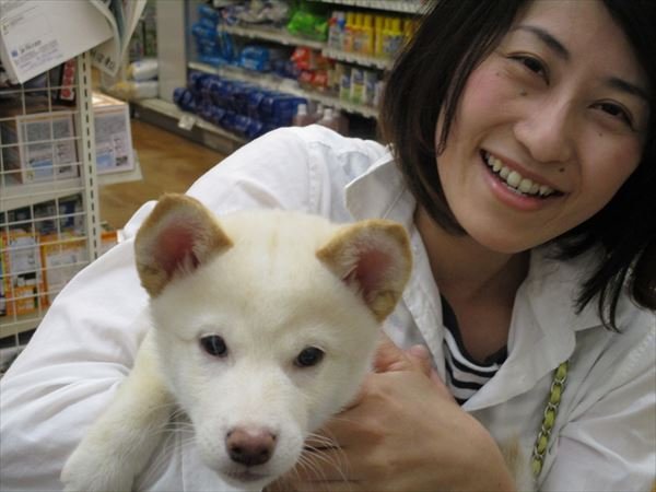 写真