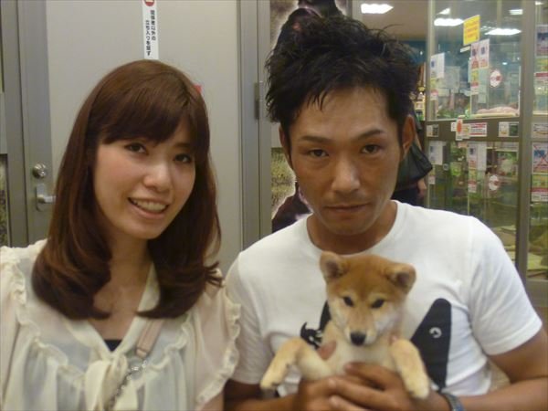 写真