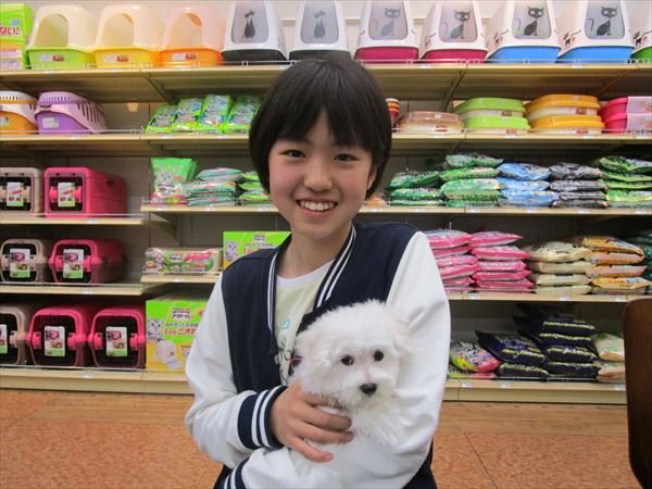 写真
