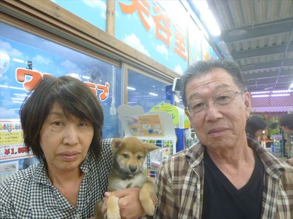 写真