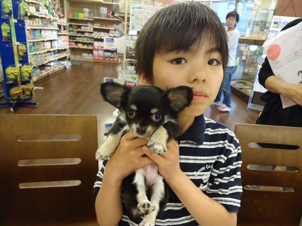 写真