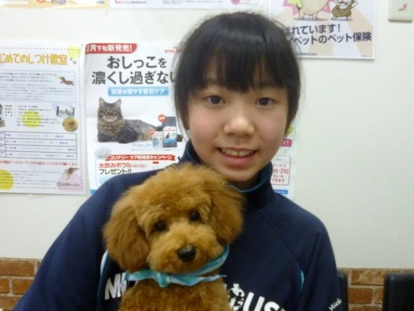 写真