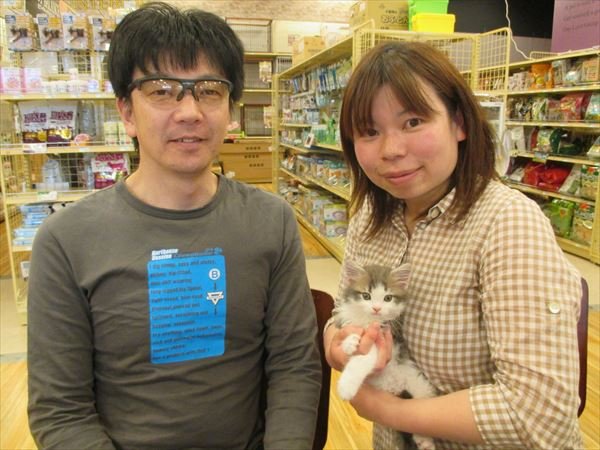 写真
