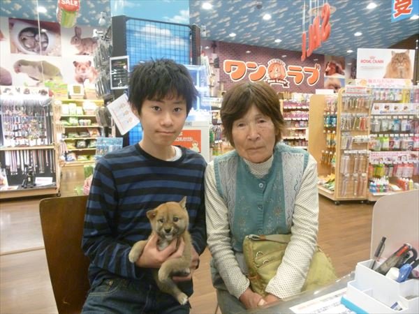 写真