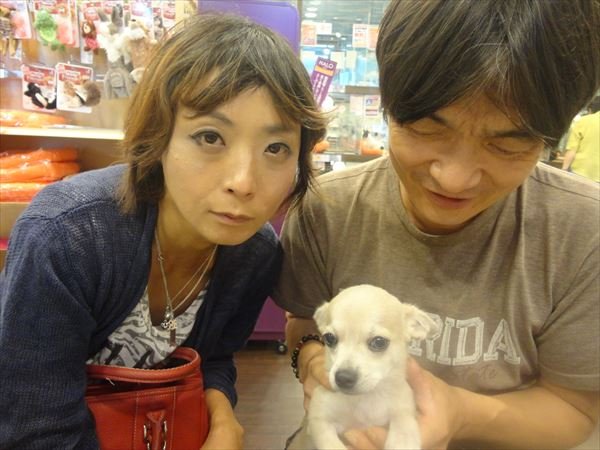 写真