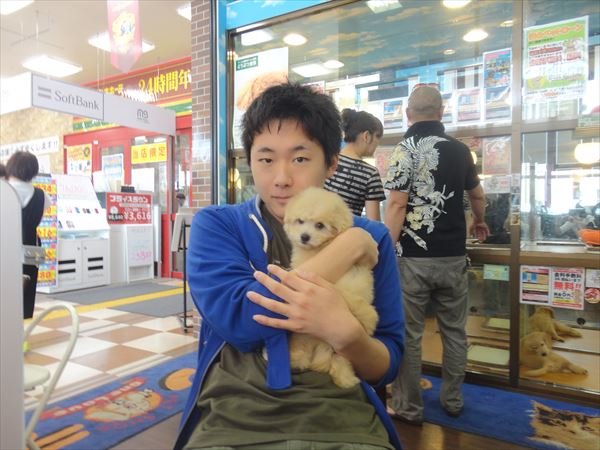 写真
