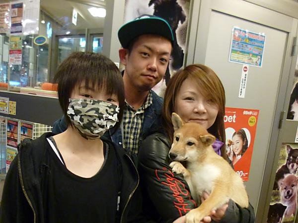 写真